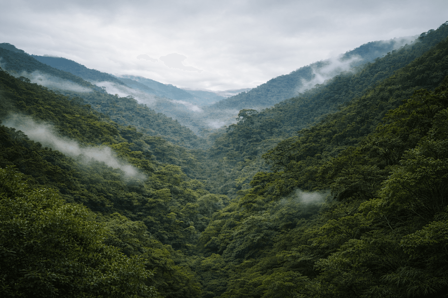 İklimlendirmeni Doğru Seç, Doğayı Sev